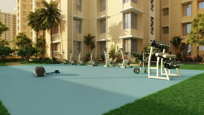 Outdoor Gymnasium