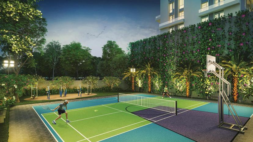 Multi-purpose Play Court