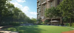 Celebration Lawn