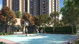 Basket Ball Court