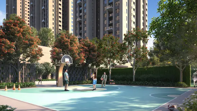 Basket Ball Court