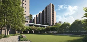 Celebration Lawn