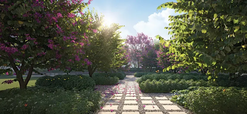 Forest Trail