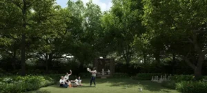 Wellness Forest