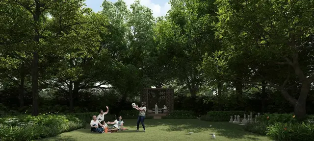 Wellness Forest