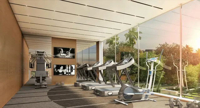 Gymnasium
