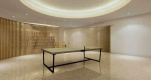 Indoor Games Room
