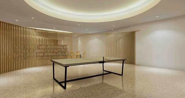 Indoor Games Room
