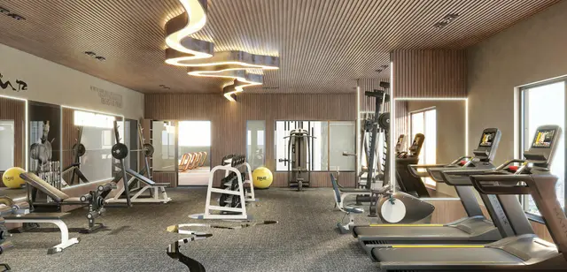 Gymnasium