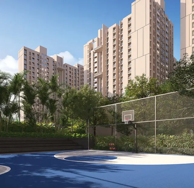 Basket Ball Court