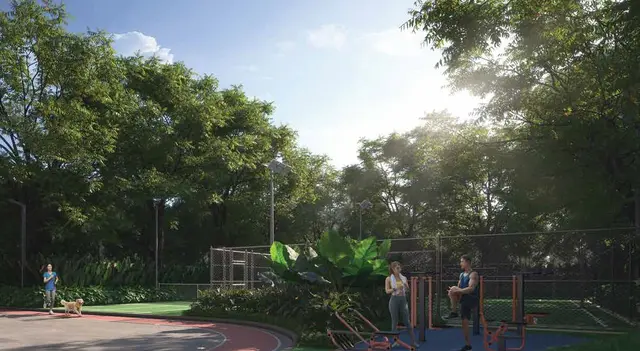 Outdoor Gymnasium