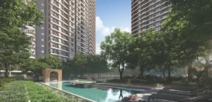 The Lap Pool