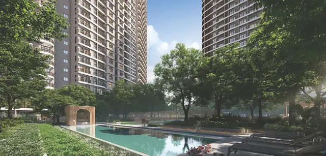 The Lap Pool
