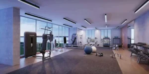 Gymnasium