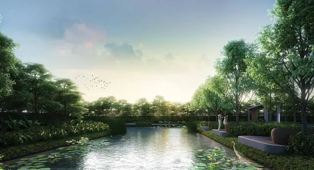 Natural Pond