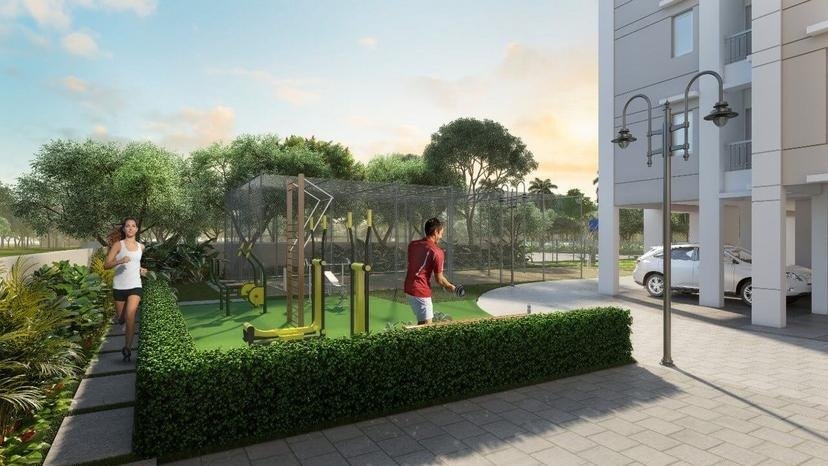 Open Gym - Cricket Pitch